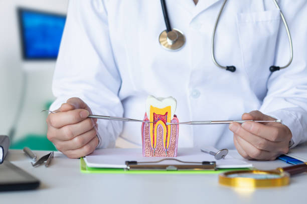 Best Emergency Dentist for Special Needs Patients in Aberdeen, NC
